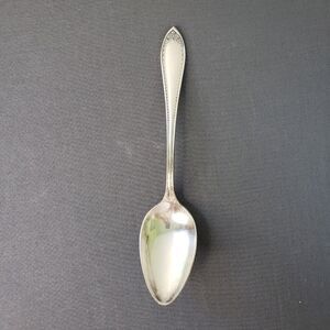 Oneida Sheraton 1910  Community Silverplate  Serving Spoon Tablespoon
